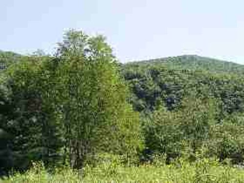 Viewing Image 10