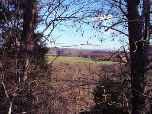 Viewing Image 3