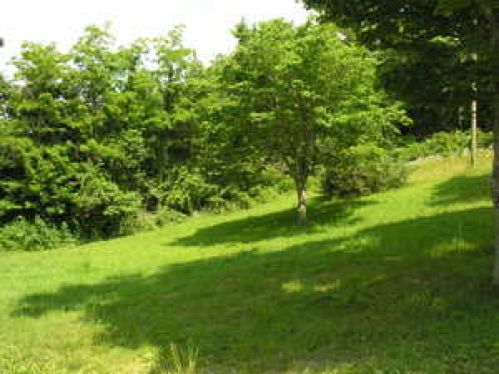 Viewing Image 8