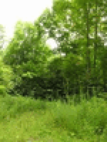 Loading PIC
