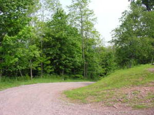 Viewing Image 9