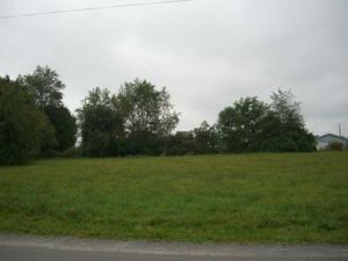 Viewing Image 8