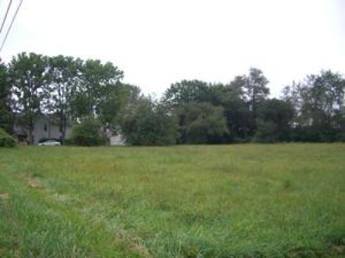 Viewing Image 9