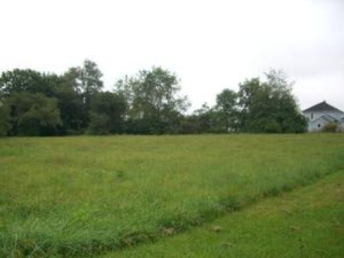 Viewing Image 10