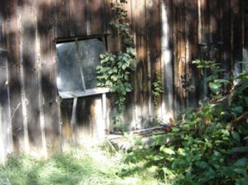 Viewing Image 11