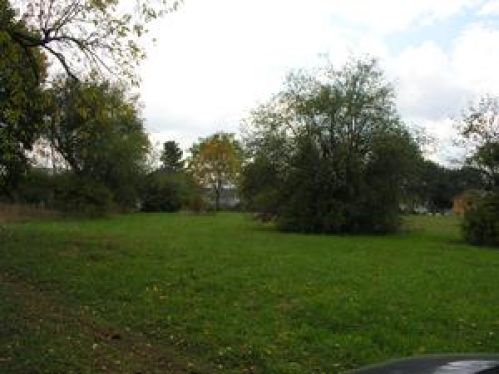 Viewing Image 23