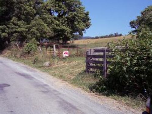 Viewing Image 2