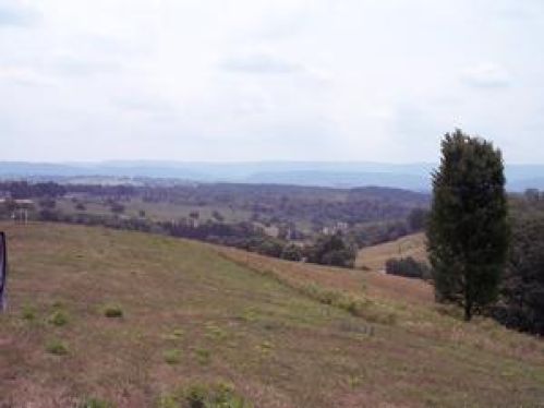 Viewing Image 9