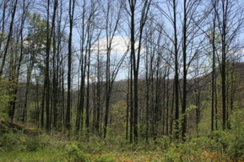 Viewing Image 5