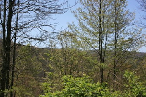 Viewing Image 7