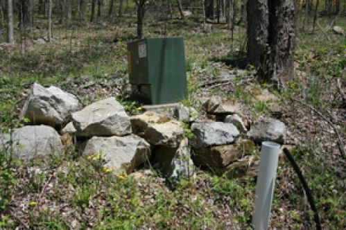 Viewing Image 10