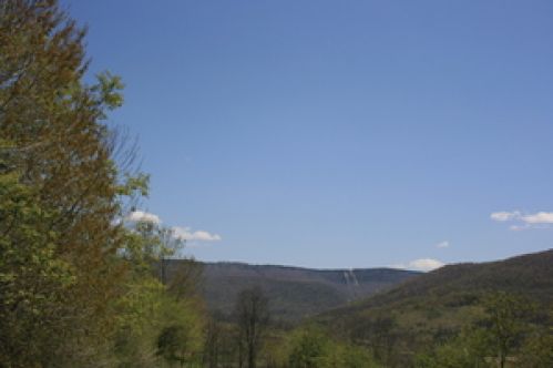 Viewing Image 12