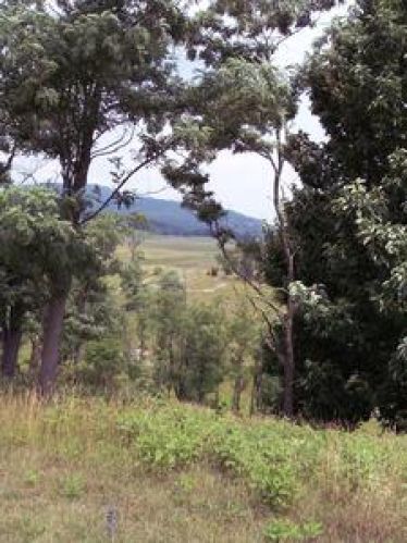 Viewing Image 6