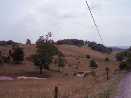Viewing Image 3