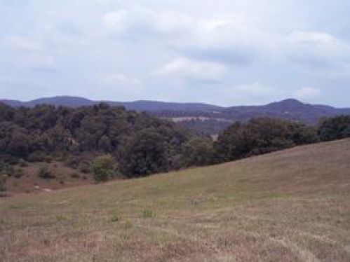 Viewing Image 5