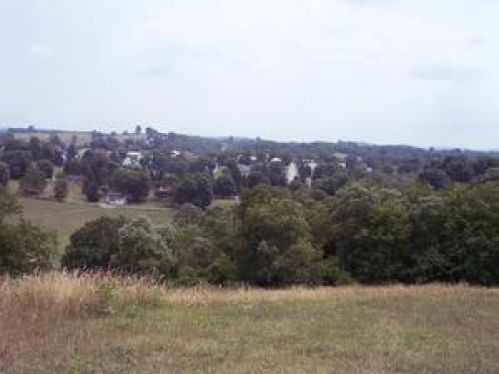 Viewing Image 6
