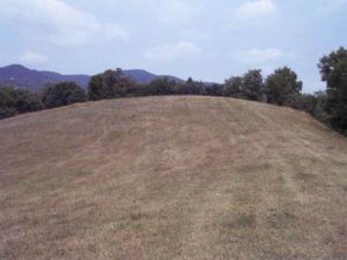 Viewing Image 8