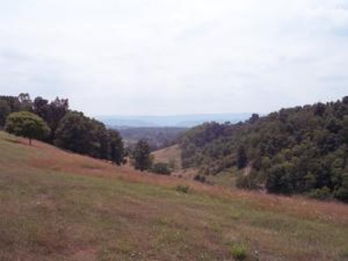 Viewing Image 9