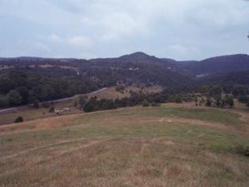Viewing Image 12