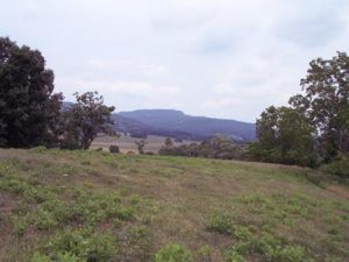 Viewing Image 16