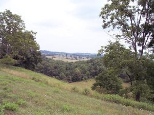 Viewing Image 17