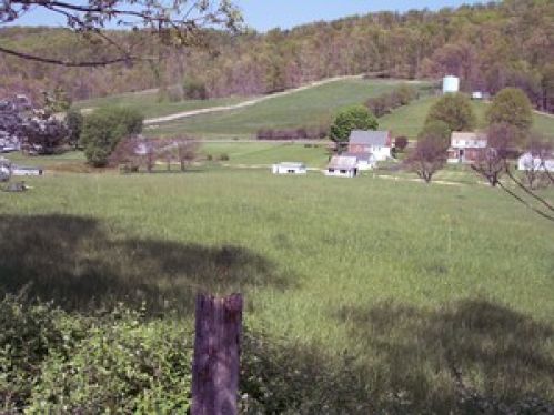 Viewing Image 3