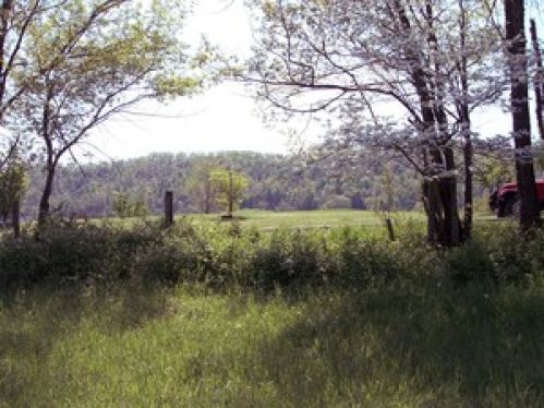Viewing Image 4