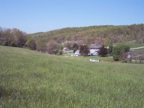 Viewing Image 5