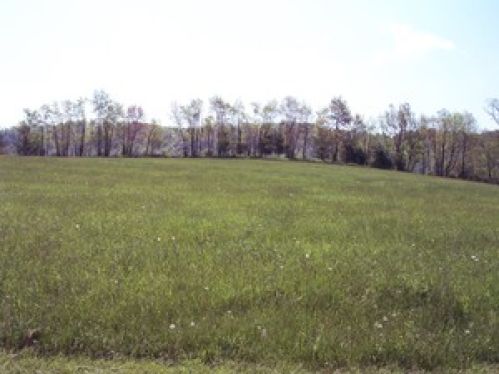 Land for Sale, ListingId:11530277, location: 2 miles north of Peterstown Peterstown 24963