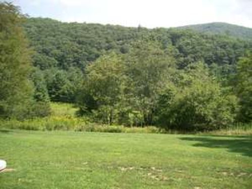 Viewing Image 10