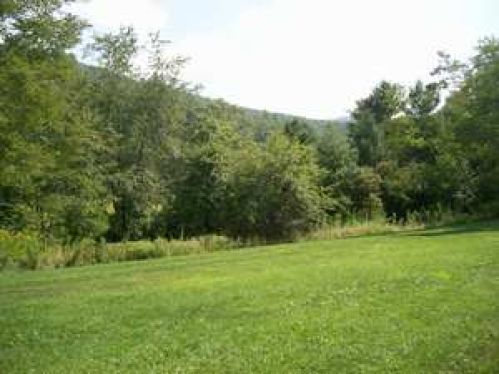 Viewing Image 12