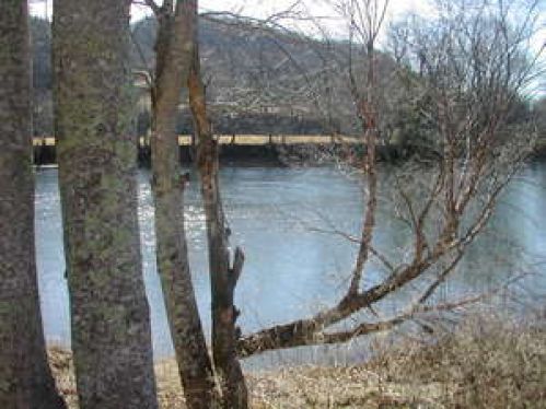 Viewing Image 6