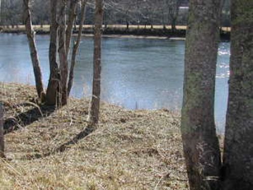 Viewing Image 7