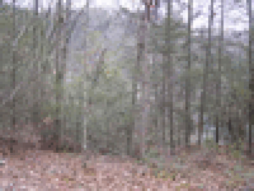 Loading PIC