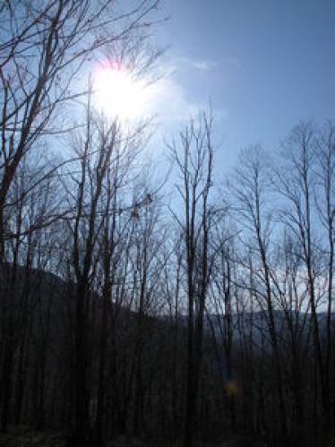 Viewing Image 16