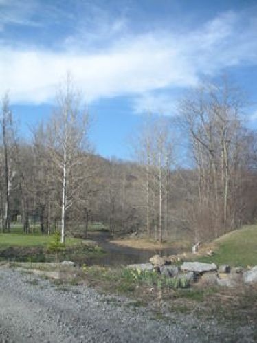Viewing Image 20