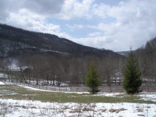 Viewing Image 6