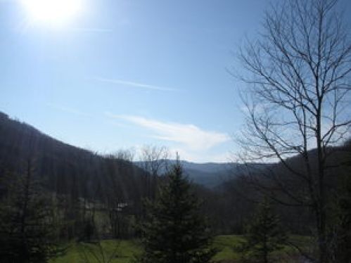 Viewing Image 19