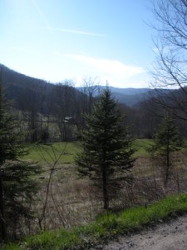 Viewing Image 20