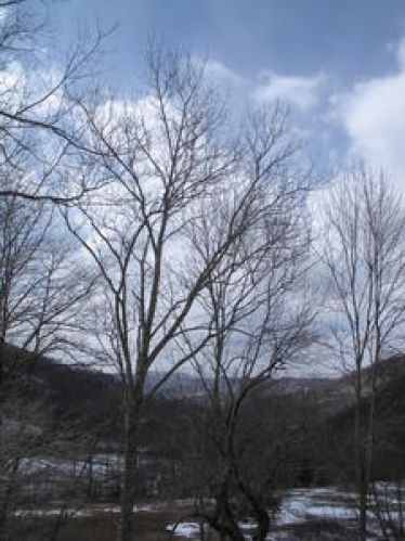 Viewing Image 9