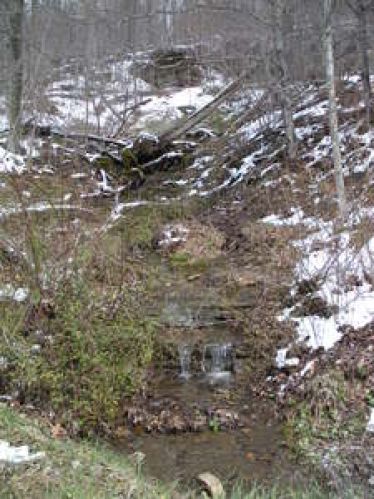Viewing Image 7