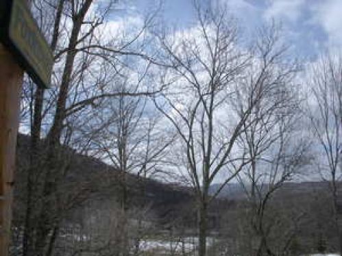 Viewing Image 8