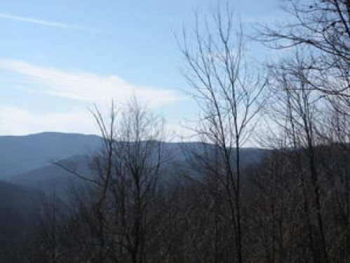 Viewing Image 14