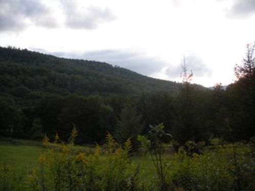 Viewing Image 2