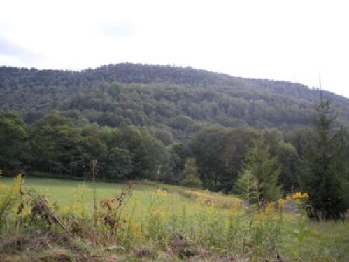 Viewing Image 3