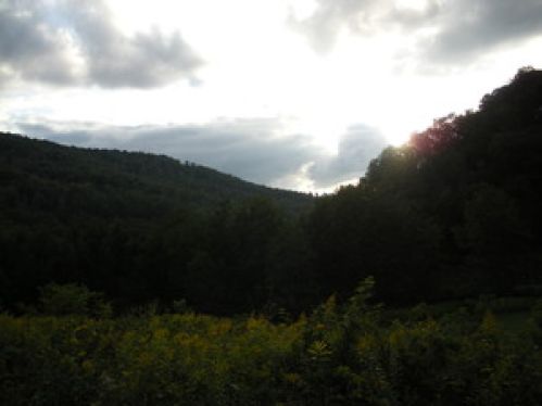 Viewing Image 4