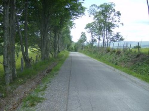 Viewing Image 7