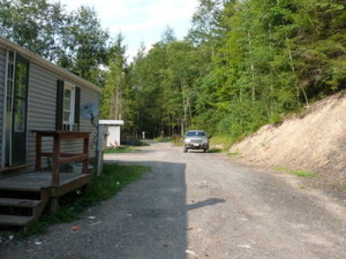 Viewing Image 11
