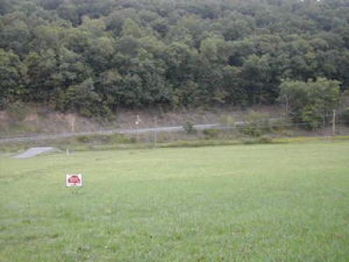 Viewing Image 4