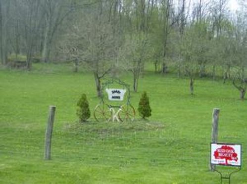 Viewing Image 6